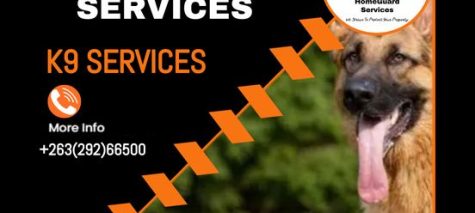 346078527_805742067834880_150457834508578143_n