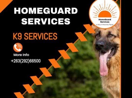 346078527_805742067834880_150457834508578143_n